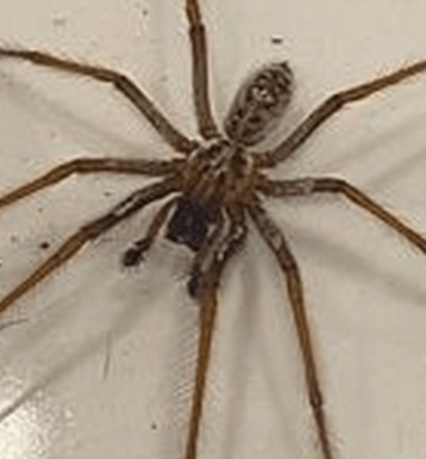 ‘How can I stop myself becoming like&nbsp;them?’