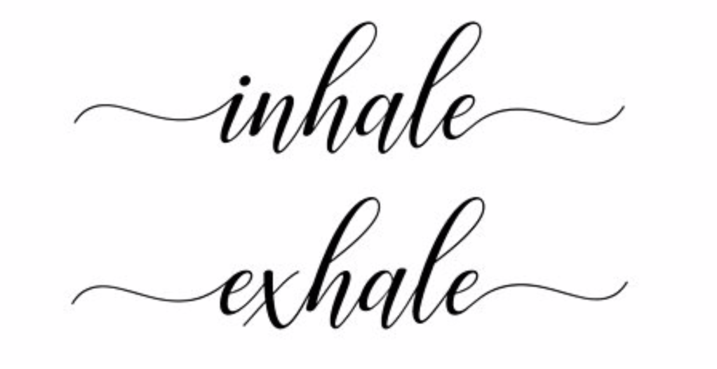 Discovering Life Internal