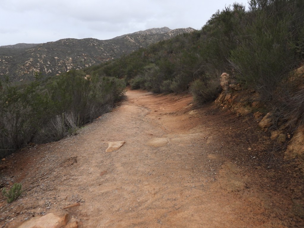 The Long Road of&nbsp;Recovering.