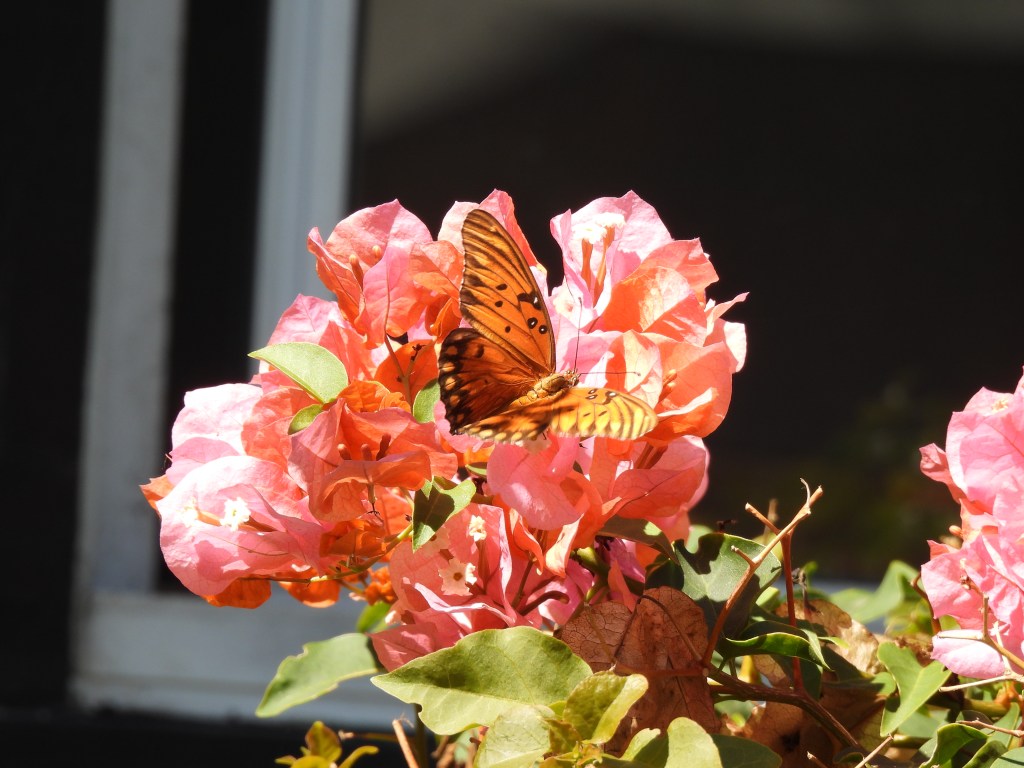 Learning the Choice to be&nbsp;Happy