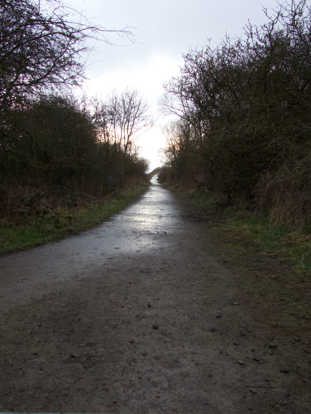 A Wet Muddy&nbsp;Walk