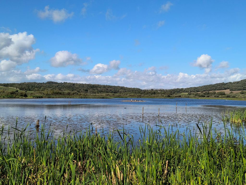 In the Nothing, There is&nbsp;Everything.